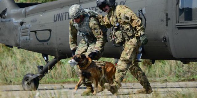 File photo - U.S. Army Sgt. Philip Ventimiglia and his canine assigned to 131st Military Working Dog Detachment Ansbach, Military Working Dog (MWD), conduct hoist training into a UH-60 Black Hawk medical helicopter at Oberdachstetten Local Training Area (LTA), Frankonia, Germany, Aug. 28, 2017. (U.S. Army photo by Charles Rosemond)