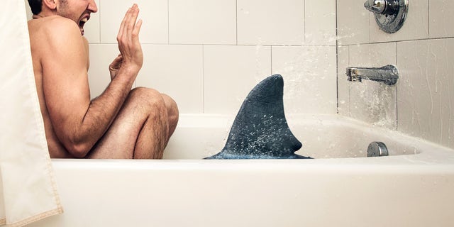 bathroom shark attack