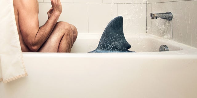 bathroom shark attack