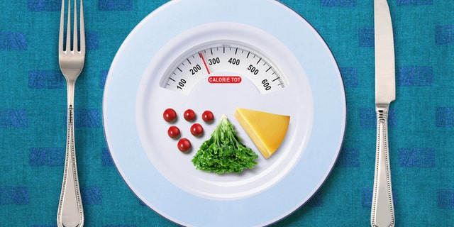 view of calorie tot in food that on white plate