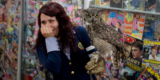 A Harry Potter fan reacts after a live owl bites her, inside an exhibition of the Guinness World Record holding collection of Harry Potter memorabilia, at the Mexican Museum of Antique Toys, in Mexico City, Friday, Feb. 27, 2015. Mexico's fan Menahem Asher Silva Vargas assembled the collection, which contains thousand objects, including figurines, wands, magazines, puzzles, and accessories. (AP Photo/Rebecca Blackwell)