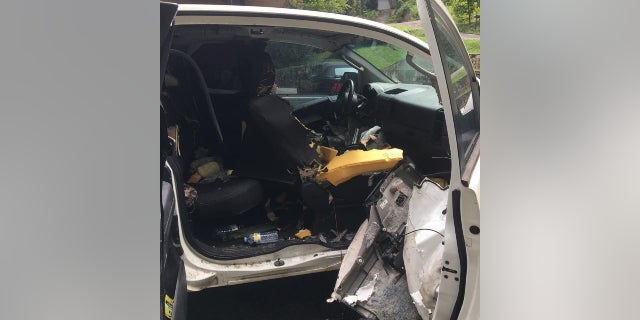 bear damage