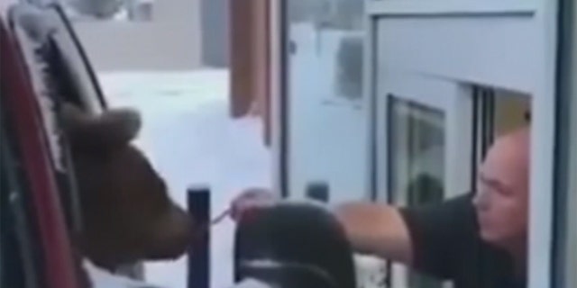 The zoo's owner said the video was supposed to be educational.