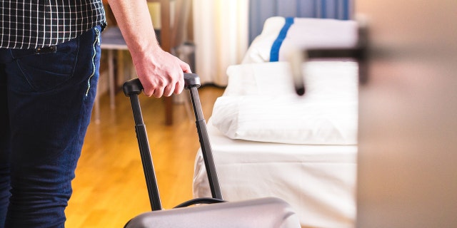 bed bug istock