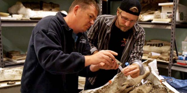 Bone Dusters Paleo Ale is made from yeast found on a 35 million-year-old whale fossil.
