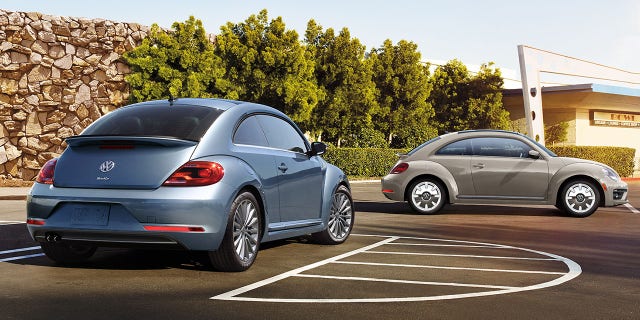 beetle
