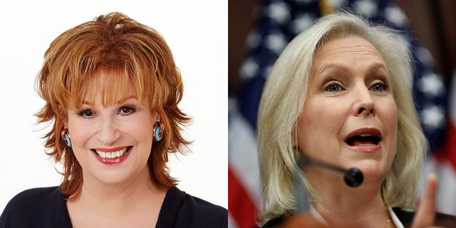 Joy Behar and Democratic Senator Kirsten Gillibrand got heated over the resignation of Al Franken on a recent episode of 'The View.'