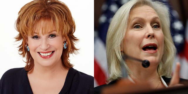 Joy Behar and Democratic Senator Kirsten Gillibrand got heated over the resignation of Al Franken on a recent episode of 'The View.'