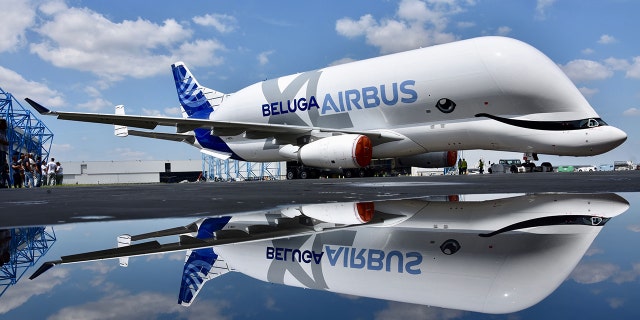 An airplane named BelugaXL now has a paint job to match.