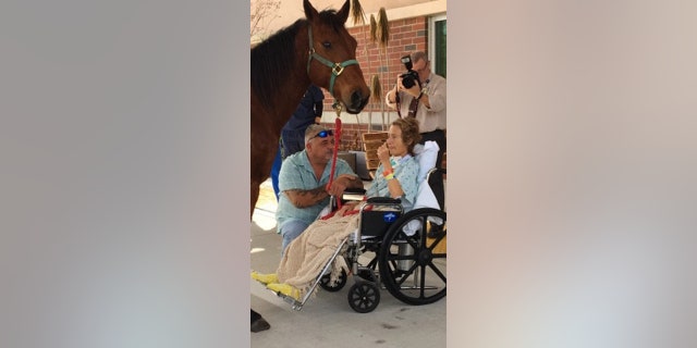 65-year-old patient was moved to tears when her fiancé arranged a visit with her rescue horse, Ireland.