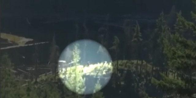 A video of a figure, which appears covered in thick black hair and is seen lumbering across the mountain top, has sparked plenty of excitement among Bigfoot fans.