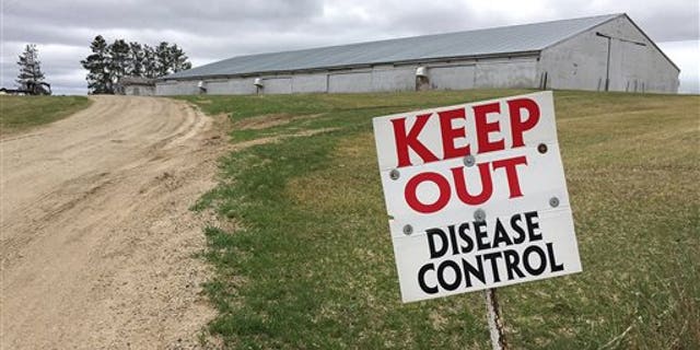 FILE - This April 20, 2015 file photo shows a sign warning visitors to stay away outside an infected turkey farm in Melrose, Minn. (Kirsti Marohn/The St. Cloud Times via AP, File)