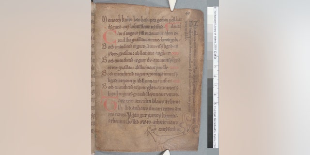 A page (49r) of "The Black Book of Carmarthen" showing the stylized drawing of a dog and text in the margins.