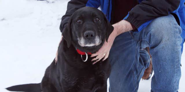 Feb. 26, 2015: Ed Davis poses with his dog Madera at his home.