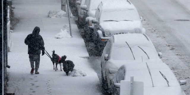 A person walks dogs on Marginal Street in Boston, Tuesday, March 13, 2018. Boston finds itself in the bullseye of the third nor'easter in two weeks.
