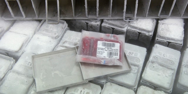 File photo: Cryopreserved cord blood in a cryogenic tank for blood storage seen at the French Blood Service building in Creteil near Paris September 2, 2011. (REUTERS/Gonzalo Fuentes)