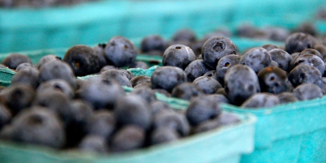 "Blueberries are rich in certain anti-inflammatory polyphenols known as flavonoids that fight DNA damage and slow age-related damage to brain cells," says Ivanir. 