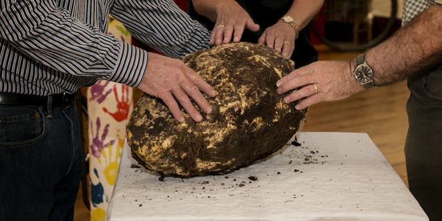 The 2,000 year-old bog butter found in Emlagh Bog, County Meath on June 1 (Cavan County Museum/Copper Tree Photography).