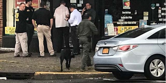 bombdogs