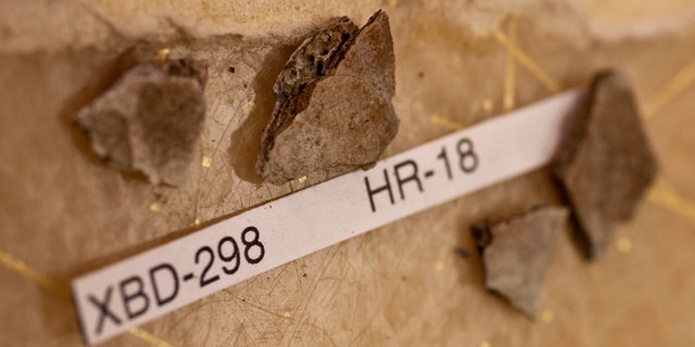Fragments like these are among the remains discovered at the Upward Sun River site in Alaska.