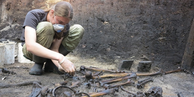 Finishing a collection of human nodes prior to photo documentation.