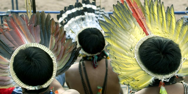 File photo. Members of the Brazil's Surui nation, wearing their traditional 'Cokar,' handmade with plume of macaw, watch the VI Indigenous Nation's Games competition in Palmas, northern Brazil, November 5, 2003.