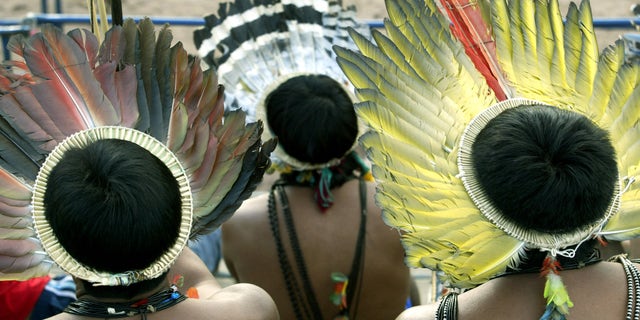 File photo. Members of the Brazil's Surui nation, wearing their traditional 'Cokar,' handmade with plume of macaw, watch the VI Indigenous Nation's Games competition in Palmas, northern Brazil, November 5, 2003.