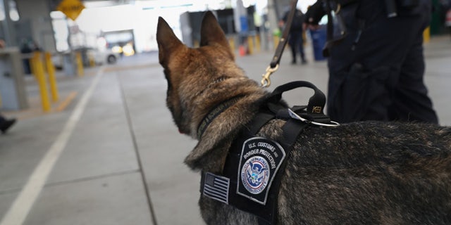 SAN YSIDRO, CA - SEPTEMBER 23: A U.S. Customs and Border Protection K-9 unit waits to check vehicles crossing into the United States from Mexico on September 23, 2016 in San Ysidro, California. Daily more than 10,000 people legally cross the border, mostly for work, at San Ysidro, making it the busiest port of entry on the 2,000 mile border between the United States and Mexico. Securing the border and controlling illegal immigration have become key issues in the U.S. Presidential campaign. (Photo by John Moore/Getty Images)