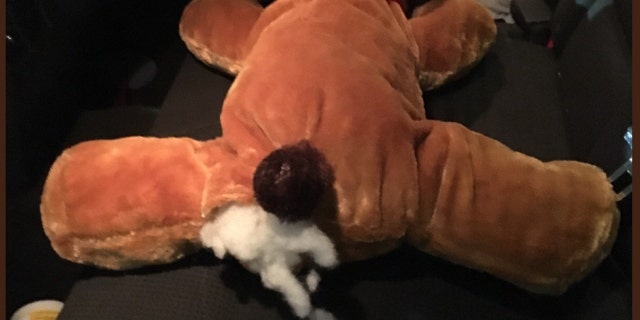 U.S. Customs and Border Protection agents found nearly 2 pounds of methamphetamine in a stuffed toy dog.