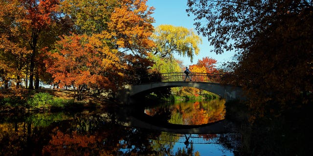 Boston's Esplanade Association, which is in charge of one of the city's parks, has enacted a ban on Philadelphia-related items. It's unclear what penalties, if any, violators will face.