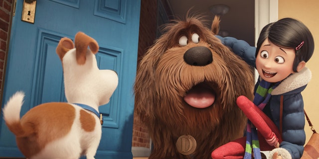 In this image released by Universal Pictures, from left, characters Max, voiced by Louis C.K., Duke, voiced by Eric Stonestreet, and Katie, voiced by Ellie Kemper, appear in a scene from, "The Secret Lives of Pets." (Illumination Entertainment and Universal Pictures via AP)