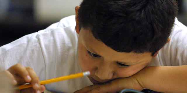 391429 06: A young student in Ms. McFaul''s second grade Early Intervention Bilingual class looks closely at a math exam during a summer school June 3, 2001 at Brentano Academy in Chicago. More than half of Chicago''s 430,000 public school students must attend summer school this year before they can go on to the next grade, Chicago Public School officials say. Former Chicago schools chief Paul Vallas said about 245,000 pupils failed to score high enough on the Iowa Tests of Basic Skills to be promoted. (Photo by Tim Boyle/Getty Images)