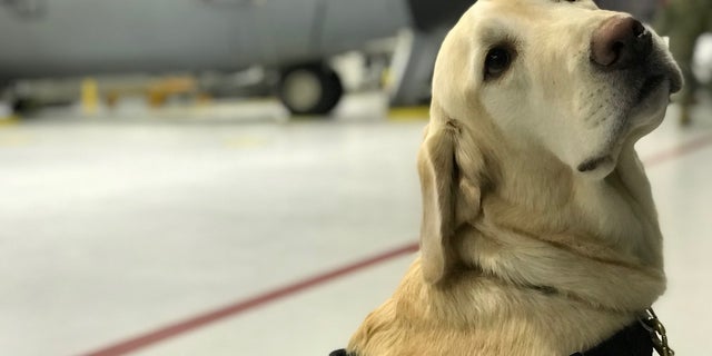 Sr. Chief Brad posing for the camera in Hangar 12 on Joint Base Andrews.