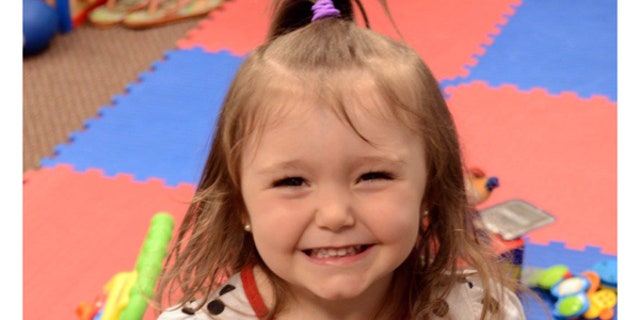 The Dalsing's 3-year-old adopted daughter, Braelynn, is pictured in a photo provided by the family.