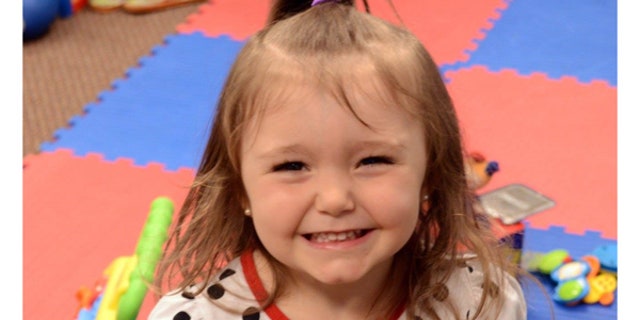 The Dalsing's 3-year-old adopted daughter, Braelynn, is pictured in a photo provided by the family.