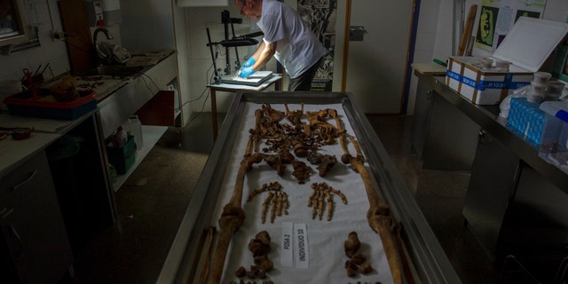 Fernando Serrulla, a forensic anthropologist of the Aranzadi Science Society, prepares to show one of the 45 saponified brains of people killed by forces of the dictator Francisco Franco. Picture taken June 8, 2017. (REUTERS/Juan Medina)
