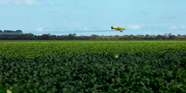 A crop plane aerial spraying pesticides on a soybean plantation in Piauí, Brazil.