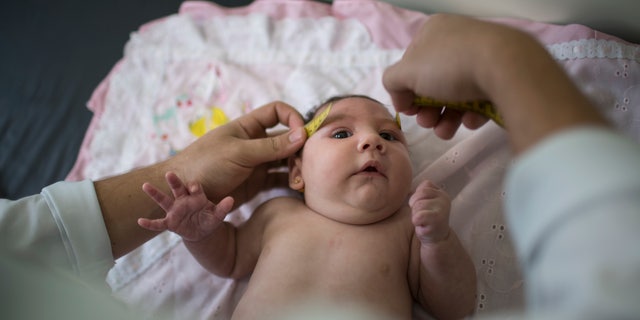 In this Dec. 22, 2015 photo, Luiza has her head measured by a neurologist at the Mestre Vitalino Hospital in Caruaru, Pernambuco state, Brazil. Luiza was born in October with a head that was just 11.4 inches (29 centimeters) in diameter, more than an inch (3 centimeters) below the range defined as healthy by doctors. Her rare condition, known as microcephaly, often results in mental retardation. (AP Photo/Felipe Dana)