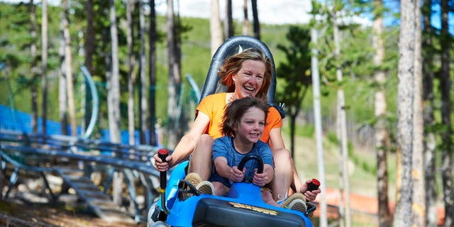 What Is An Alpine Coaster Fox News