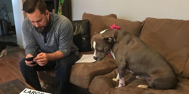 Hoffman's girlfriend ended up finding the dog on a rural road on Christmas Eve morning. Bridget was immediately taken to a clinic to be checked out.