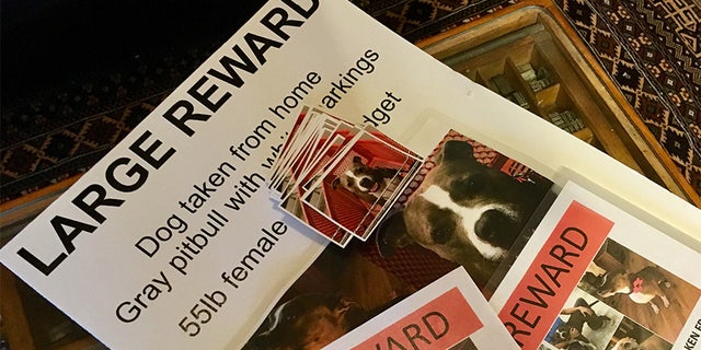 Hoffman, who served with Special Ops Forces in Afghanistan for eight years, used social media and his military training to help find the missing pooch.