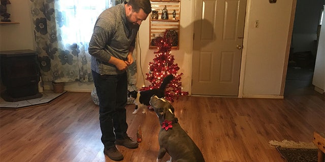 Oklahoma-based Geoff Hoffman took Bridget with him everywhere and suspects someone followed them home one night to plan the theft.