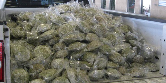 Agents seize marijuana load hidden in broccoli shipment at Texas border. (U.S. Customs and Border Protection)