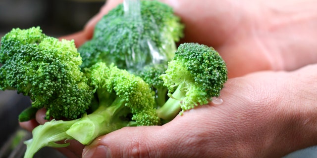 The hands of a man are holding fresh broccoli sprouts under running water, and washing them in the kitchen sink.