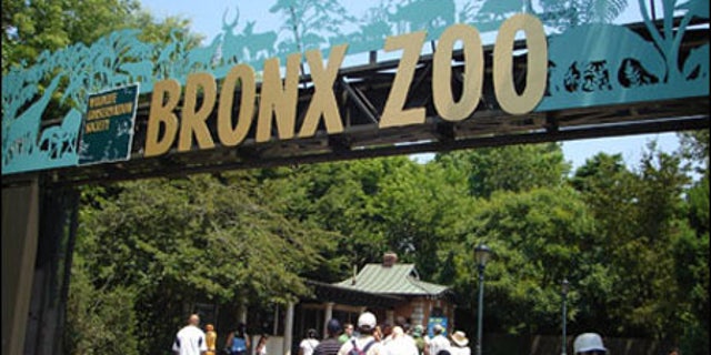 The Bronx Zoo in New York.