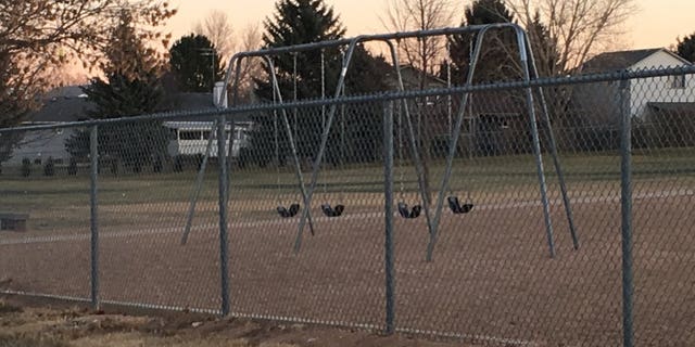 Brooklyn Thill was killed when safety straps on a swing wrapped around her neck.