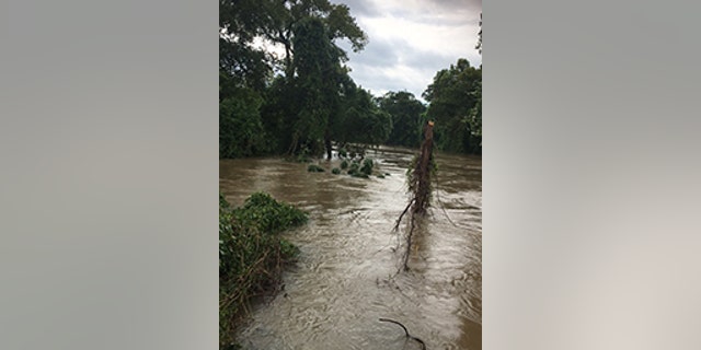 Buffalo Bayou creek was on the verge of overflowing its banks Tuesday evening