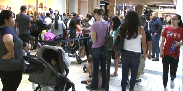Parents waited in line with their children for hours to get their hands on a discounted stuffed toy.