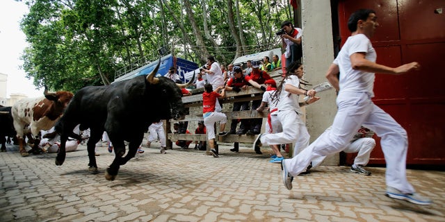 PAMPLONA, SPAIN - JULY 13: Revellers run with Fuente Ymbro's fighting bulls entering the bullring during the eighth day of the San Fermin Running Of The Bulls festival on July 13, 2013 in Pamplona, Spain. The annual Fiesta de San Fermin, made famous by the 1926 novel of US writer Ernest Hemmingway 'The Sun Also Rises', involves the running of the bulls through the historic heart of Pamplona, this year for nine days from July 6-14. (Photo by Pablo Blazquez Dominguez/Getty Images)