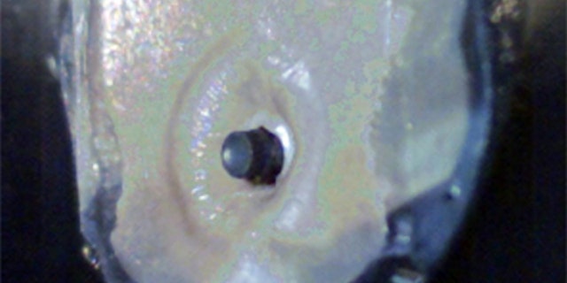 This undated high-speed camera image provided by Jalila Essaidi shows a .22 caliber bullet hitting but not breaking the “bulletproof” skin created by Dutch artist Jalila Essaidi with the help of Utah State research Randy Lewis. Lewis supplied the silk threads from a genetically engineered silk worm that Essaidi weaved into a lattice of human skin cells to create a layer that was capable of repelling a bullet. Lewis believes his genetically engineered spider silk from worms and goats can be used to help surgeons heal large wounds and create artificial tendons and ligaments.